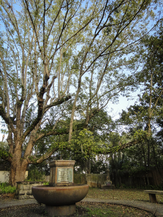 Saint Francis Park