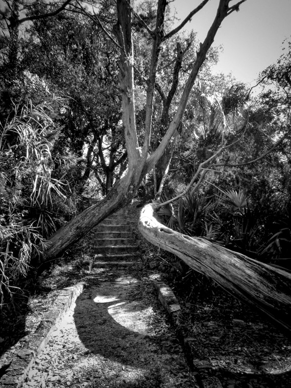 Trail steps at St Augustine Amphitheatre