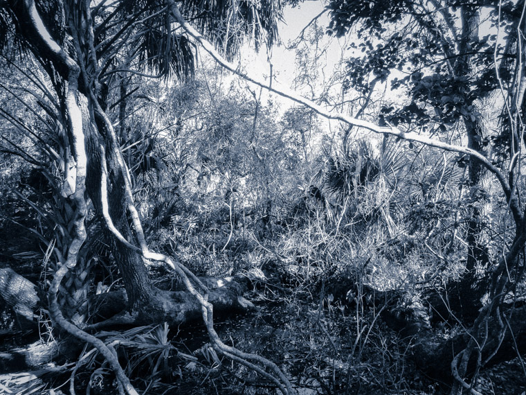 St Augustine Amphitheater Nature trail