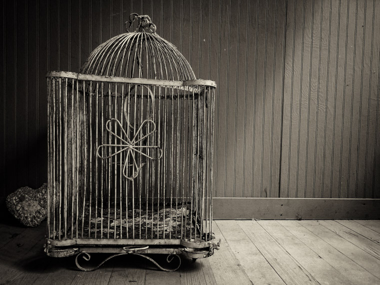 Vintage rusty birdcage at dow museum of historic houses