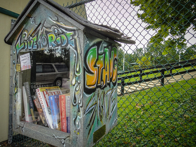 Library Skate Park at Treaty