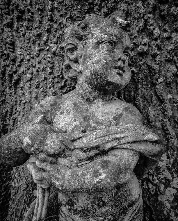 Sculpture and tree at Dow Museum of historic houses