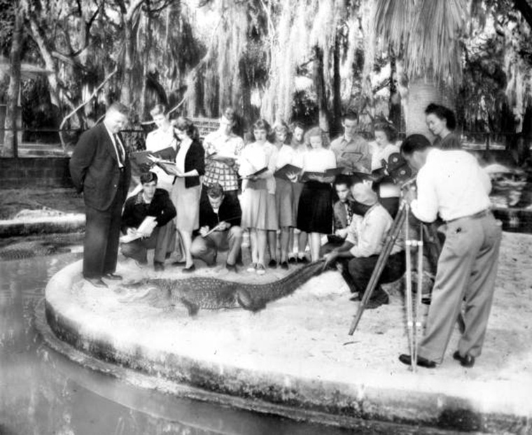 Alligator farm video shoot in 1940s