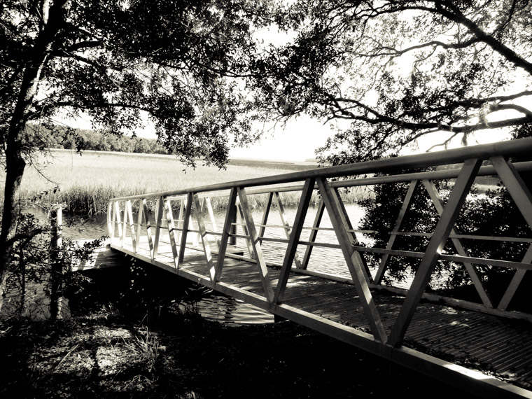 Moses Creek Dock Fishing Marsh