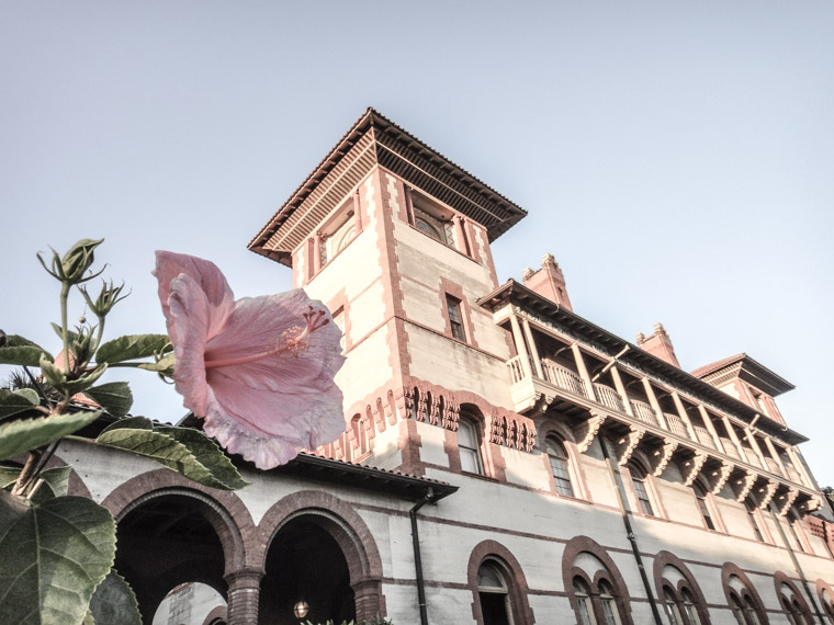 Flagler College Hibiscus Plant Hotel Ponce de Leon