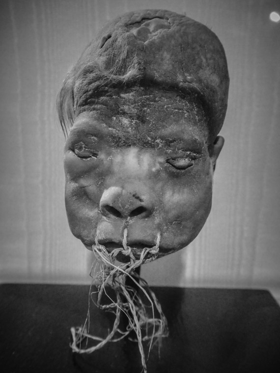 Shrunken Head at Lightner Museum