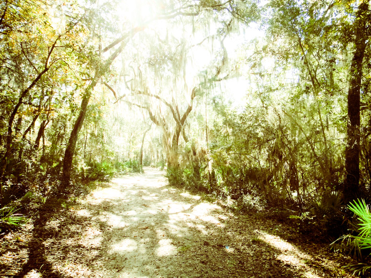 Moses Creek trail state park.