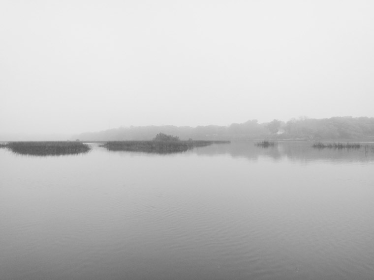 Vail Point marsh fog