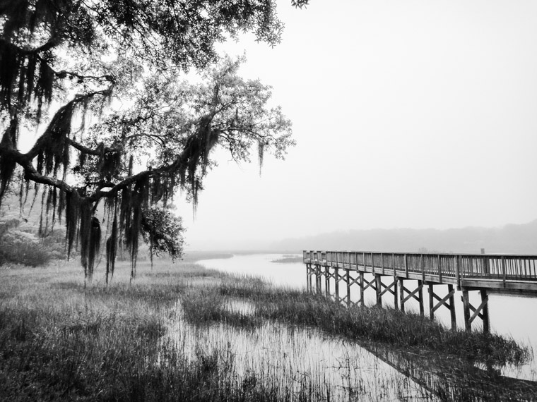 Vail Point Park dock intracoastal marsh