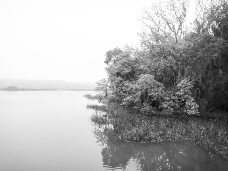 Vail Point Park Marsh Water