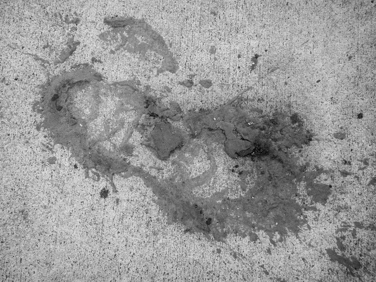 Muddy Boot Print on Dock
