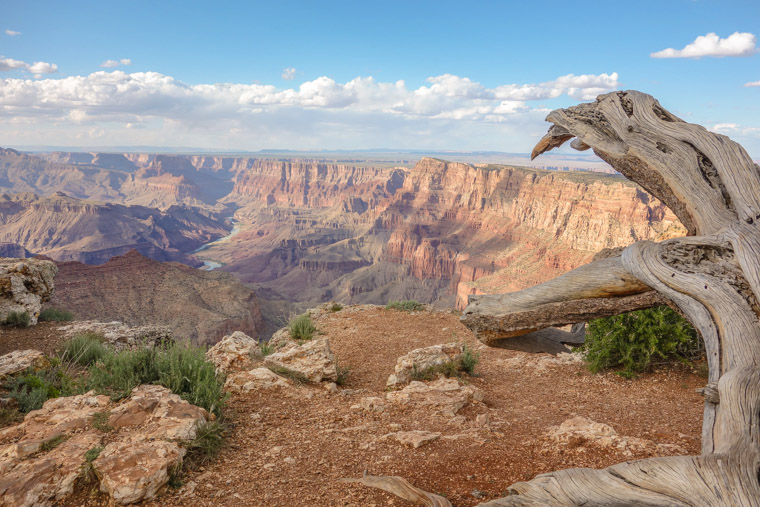 Grand Canyon View