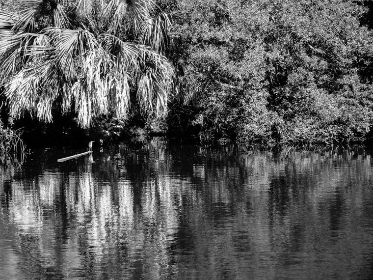 St Augustine Amphitheater Pond