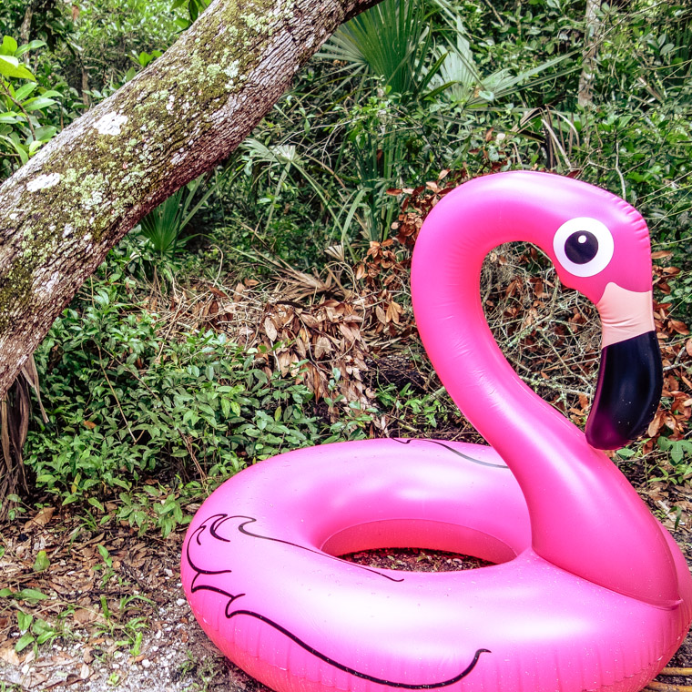 Flamingo float tubing