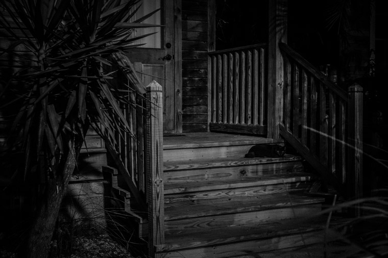 black Cat on porch steps at night