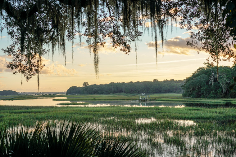 Moultrie Creek Sunrise Spanish Moss Trees