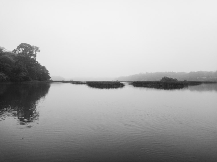 Moultrie Creek Fog