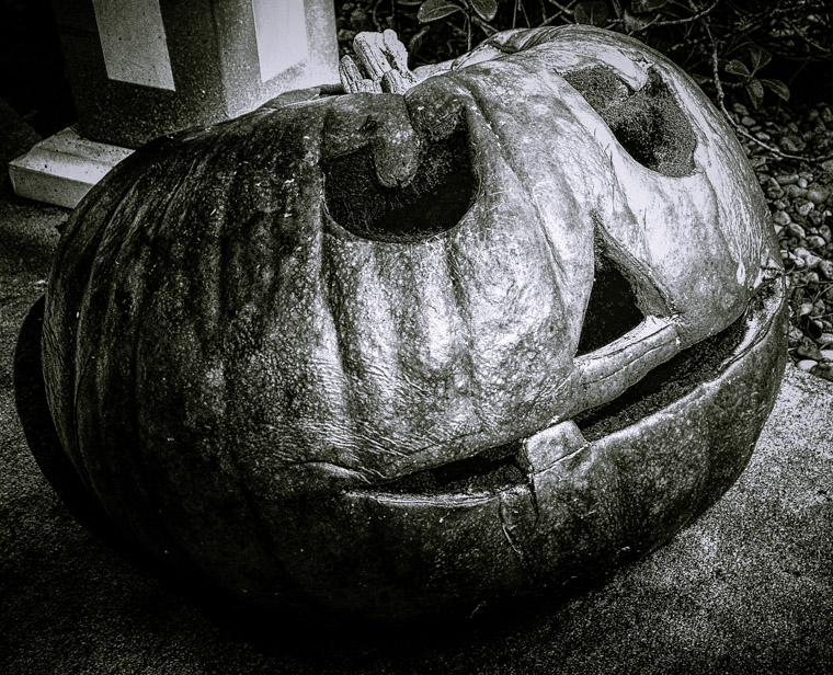 Halloween pumpkin rotted