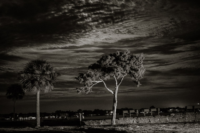 Fort trees at night