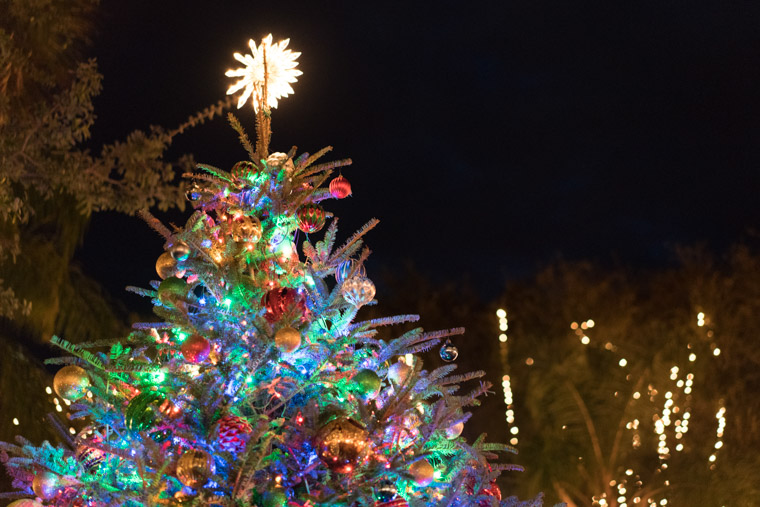 downtown christmas tree