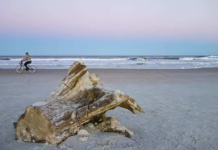 Tree stump washed up on beach at sunset with biker