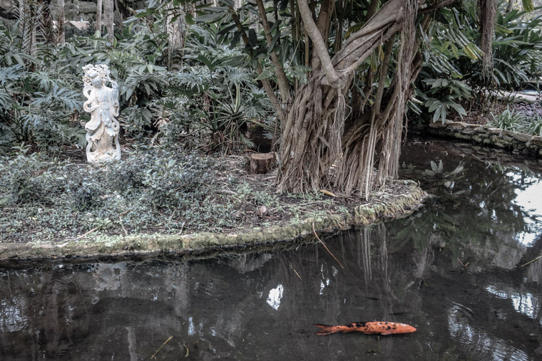 Washington oaks koi pond garden and sculpture