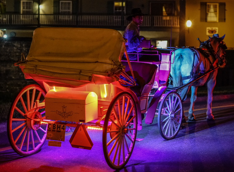 Horse carriage tour at night