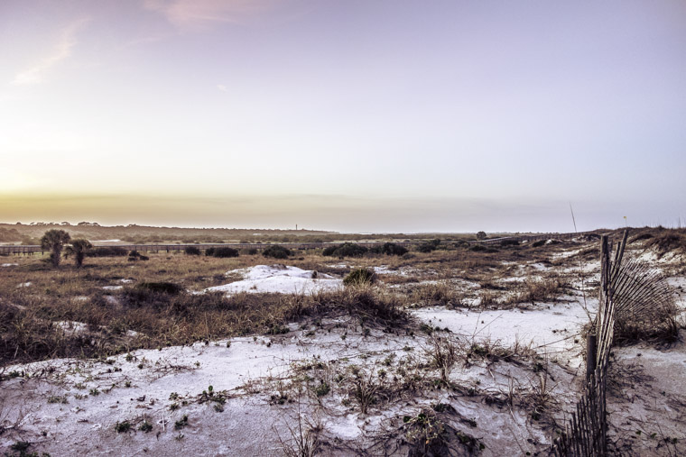 Anastasia State Park Beach Dunes
