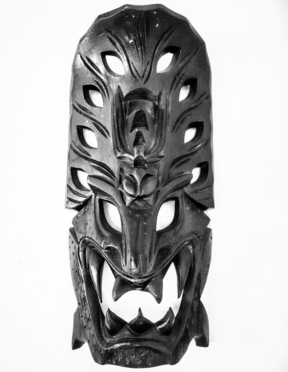 Mask from Washington Oaks State park