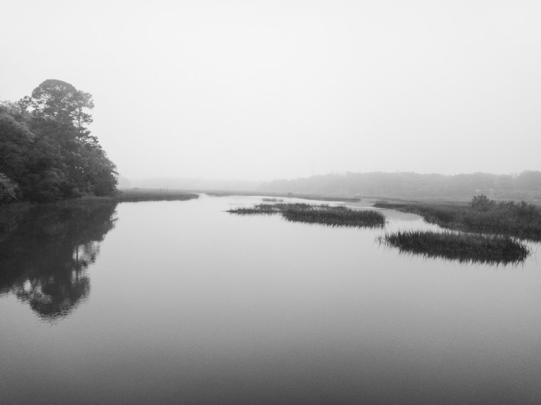 Moultrie creek fog