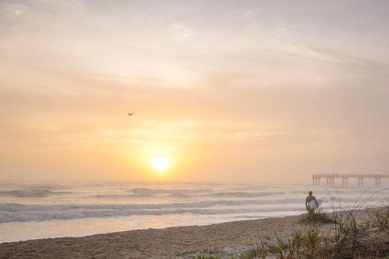 Surfer at sunrise beach pier seagull bird