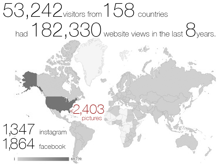 Stats on website views