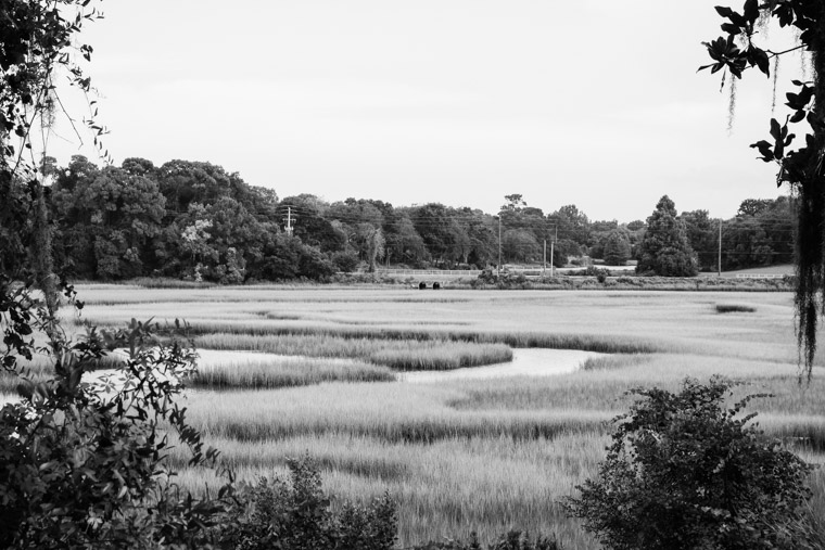 Moultrie Creek and Shores Ponds marsh view