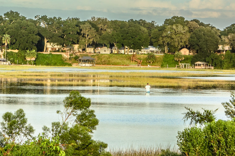 Fisherman wading in moutlrie creek