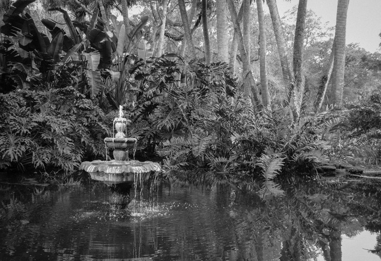 Washington Oaks Fountain pond