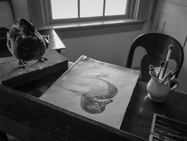 Ximenez-Fatio House duck art desk